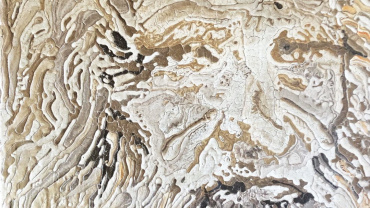 Immagine opera Leonardo di Sonia Bellezza